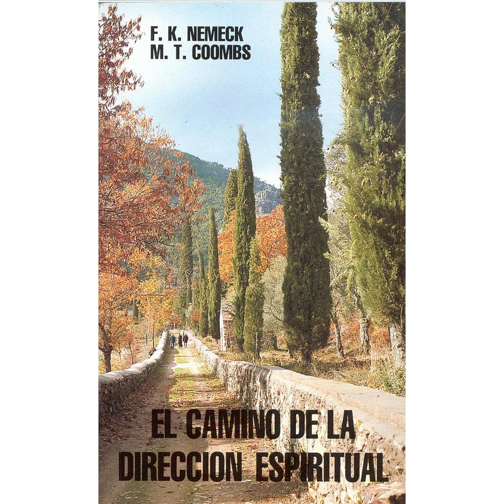 El camino de la dirección espiritual