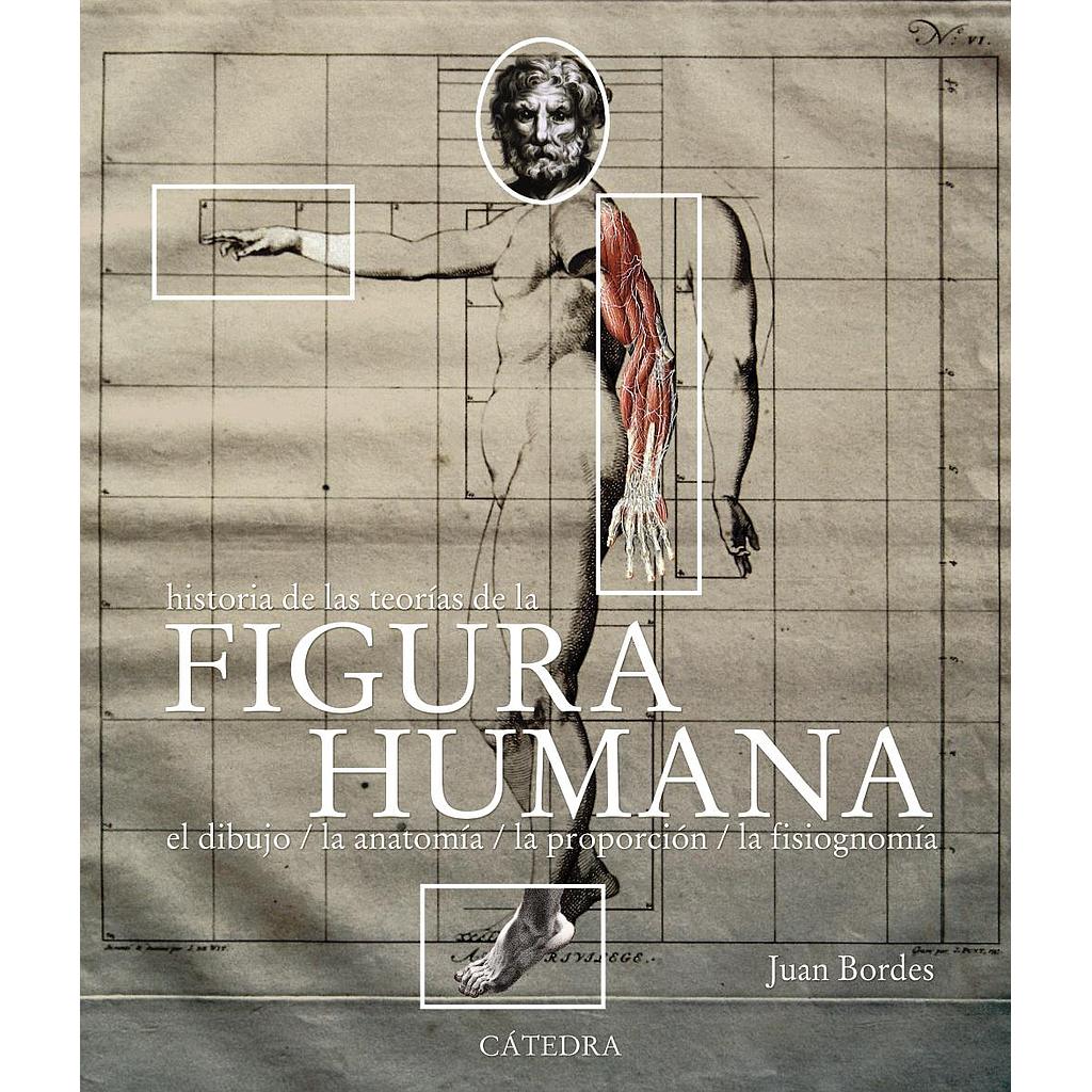 Figura humana