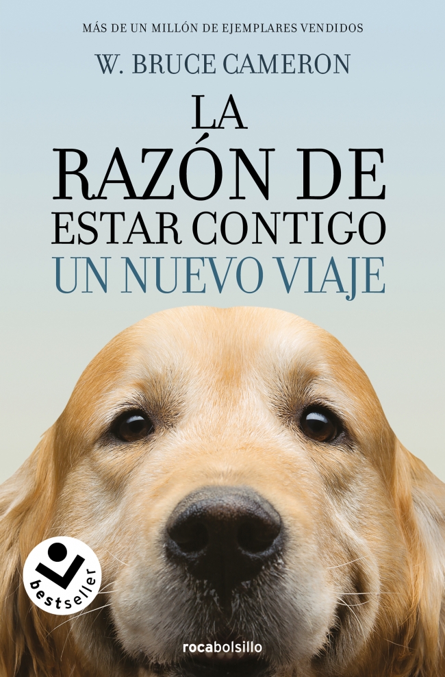 La razón de estar contigo 2 - Un nuevo viaje