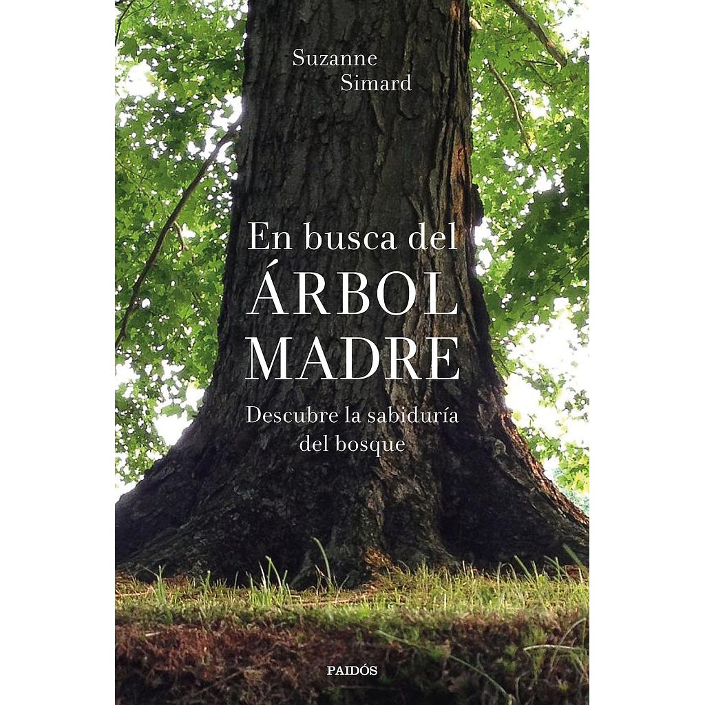 En busca del Árbol Madre