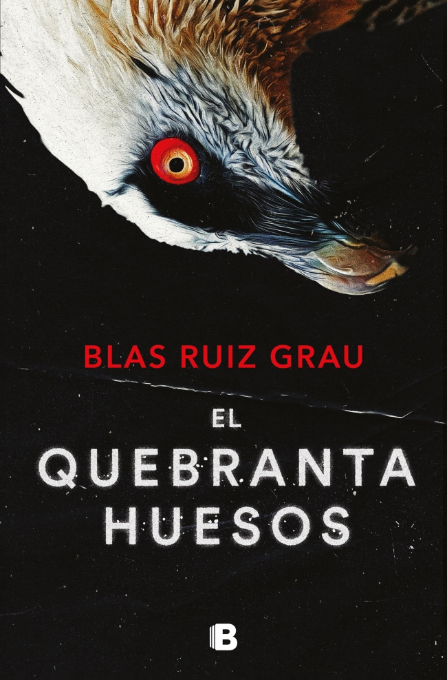 El quebrantahuesos (Nicolás Valdés 4)