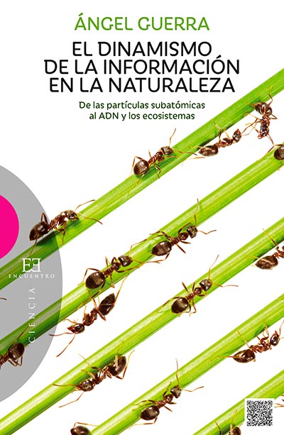 El dinamismo de la información en la naturaleza