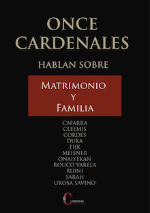 Once cardenales hablan sobre matrimonio y familia