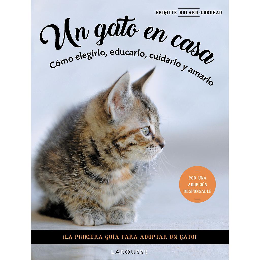 Un gato en casa