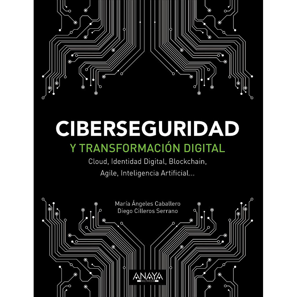 Ciberseguridad y transformación digital