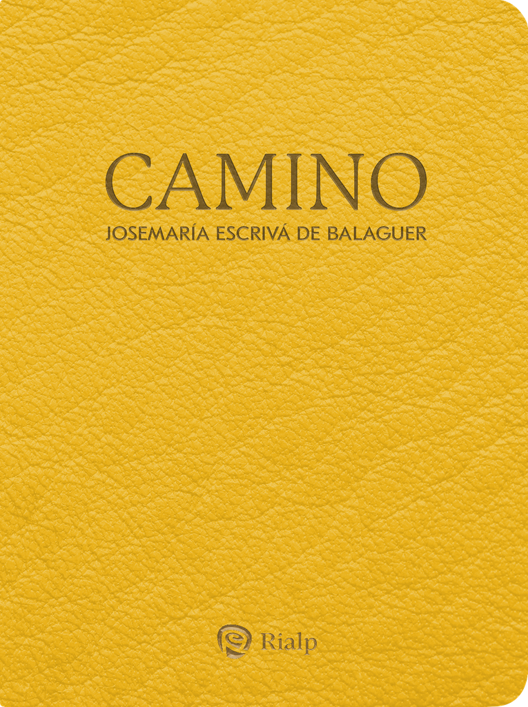 Camino (bolsillo, piel sintética)