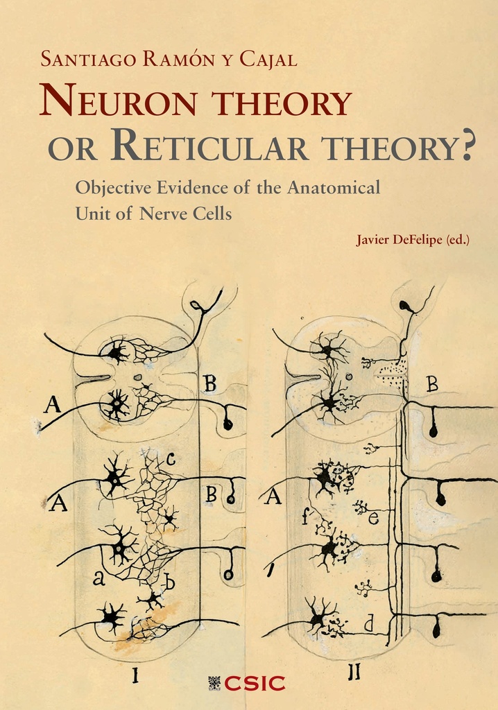 Neuron theory or Reticular theory?
