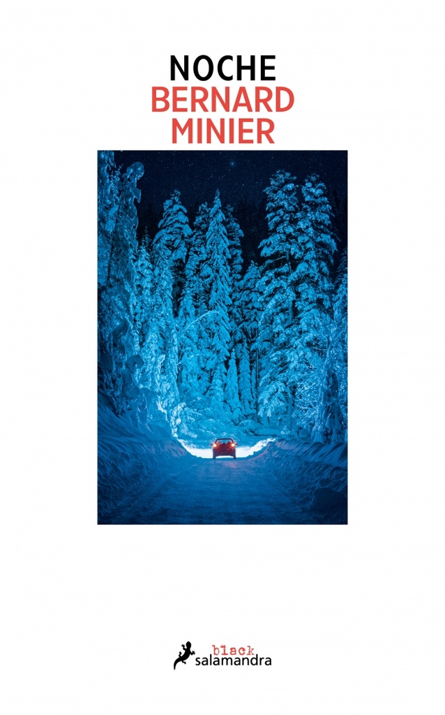 Noche (Comandante Servaz 4)