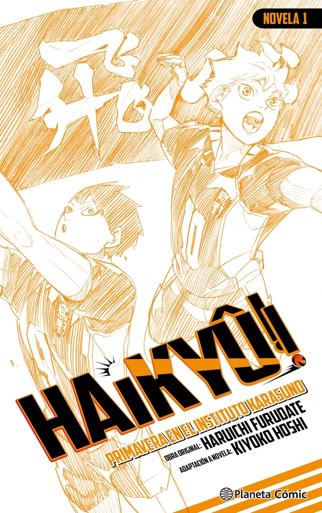 Haikyû!! (Novela) nº 01