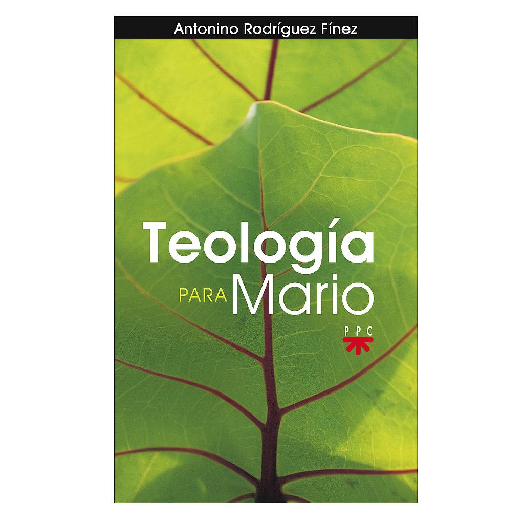 Teología para Mario