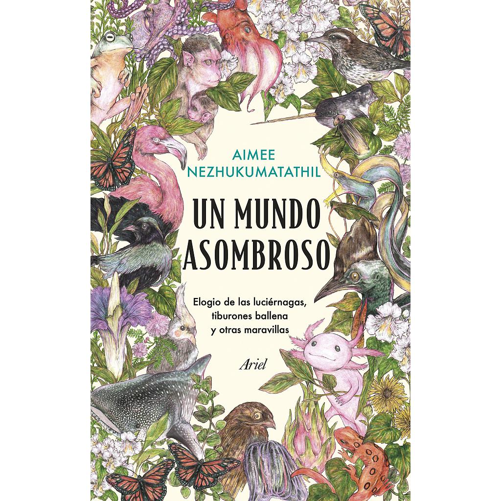 Un mundo asombroso