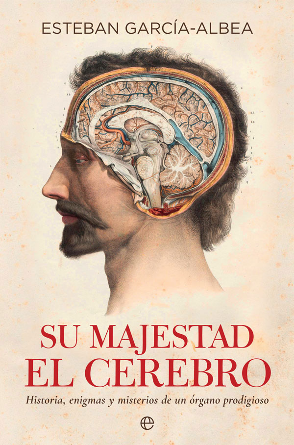 Su majestad el cerebro