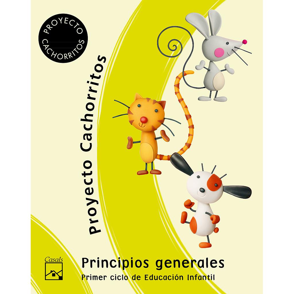 Principios generales