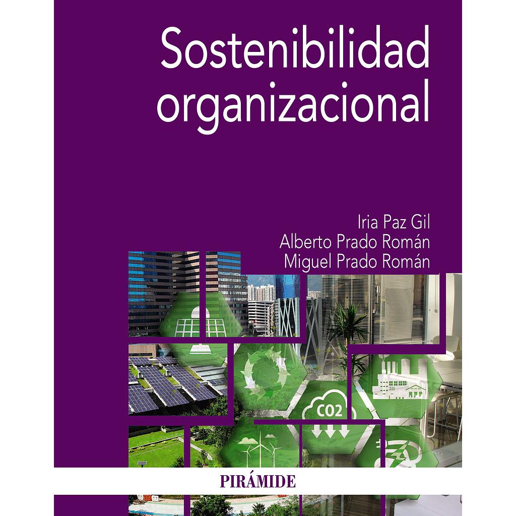 Sostenibilidad organizacional