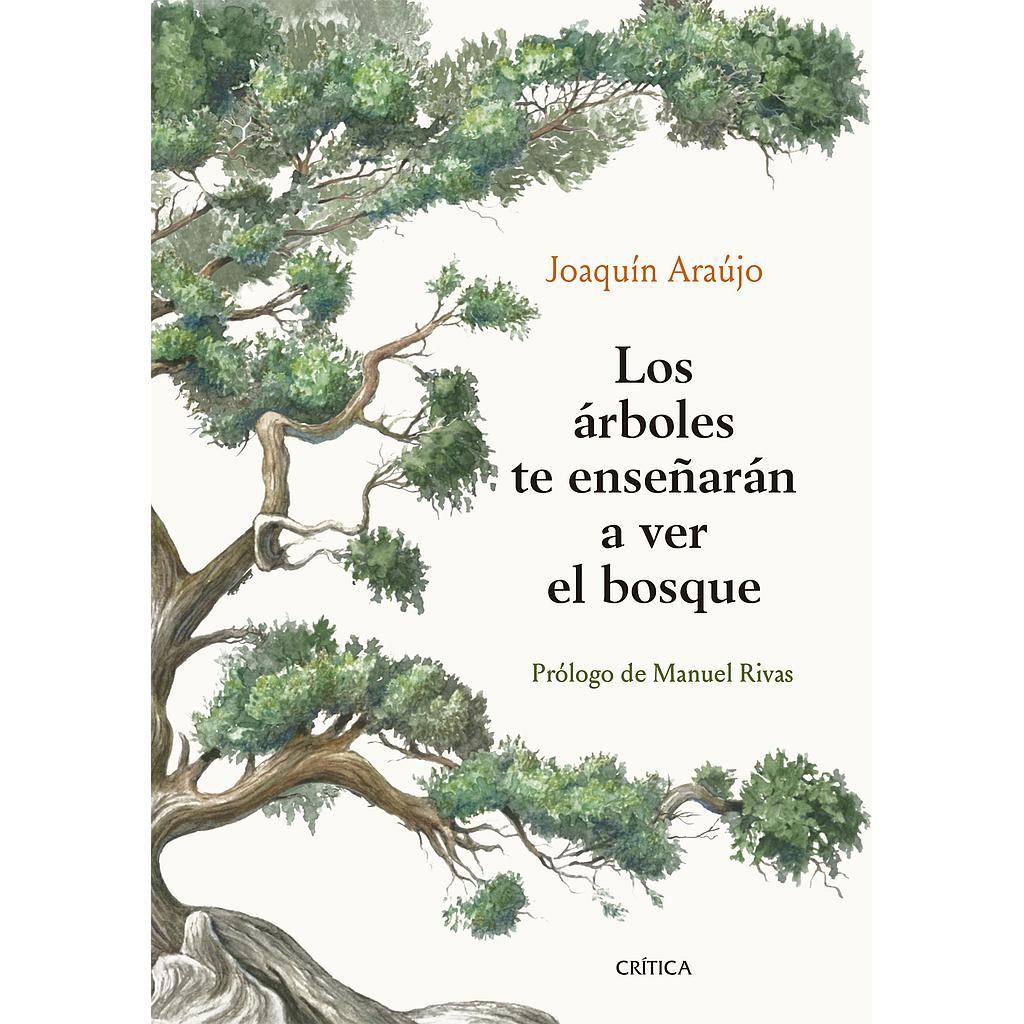 Los árboles te enseñarán a ver el bosque