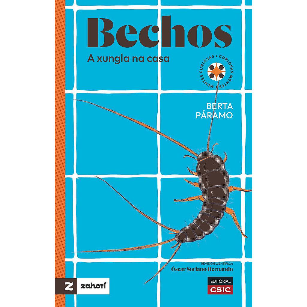 Bechos : a xungla na casa