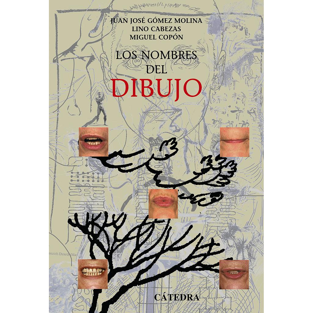 Los nombres del dibujo