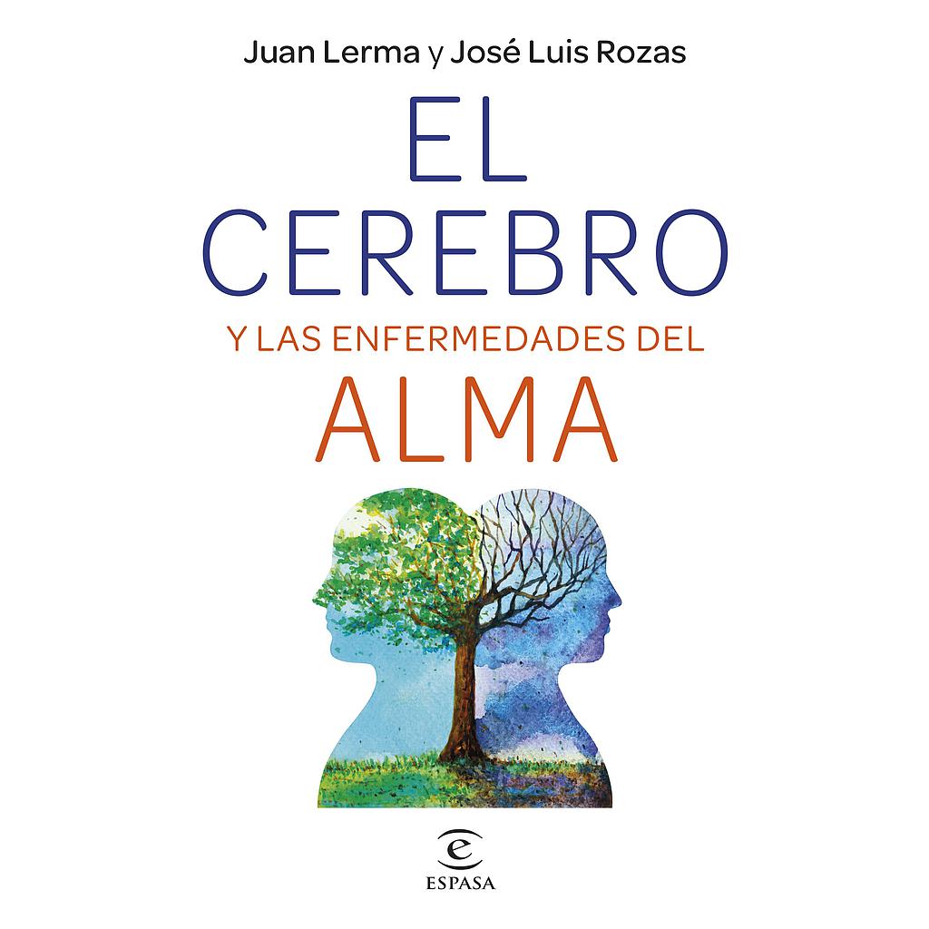 El cerebro y las enfermedades del alma