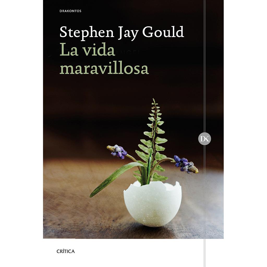 La vida maravillosa