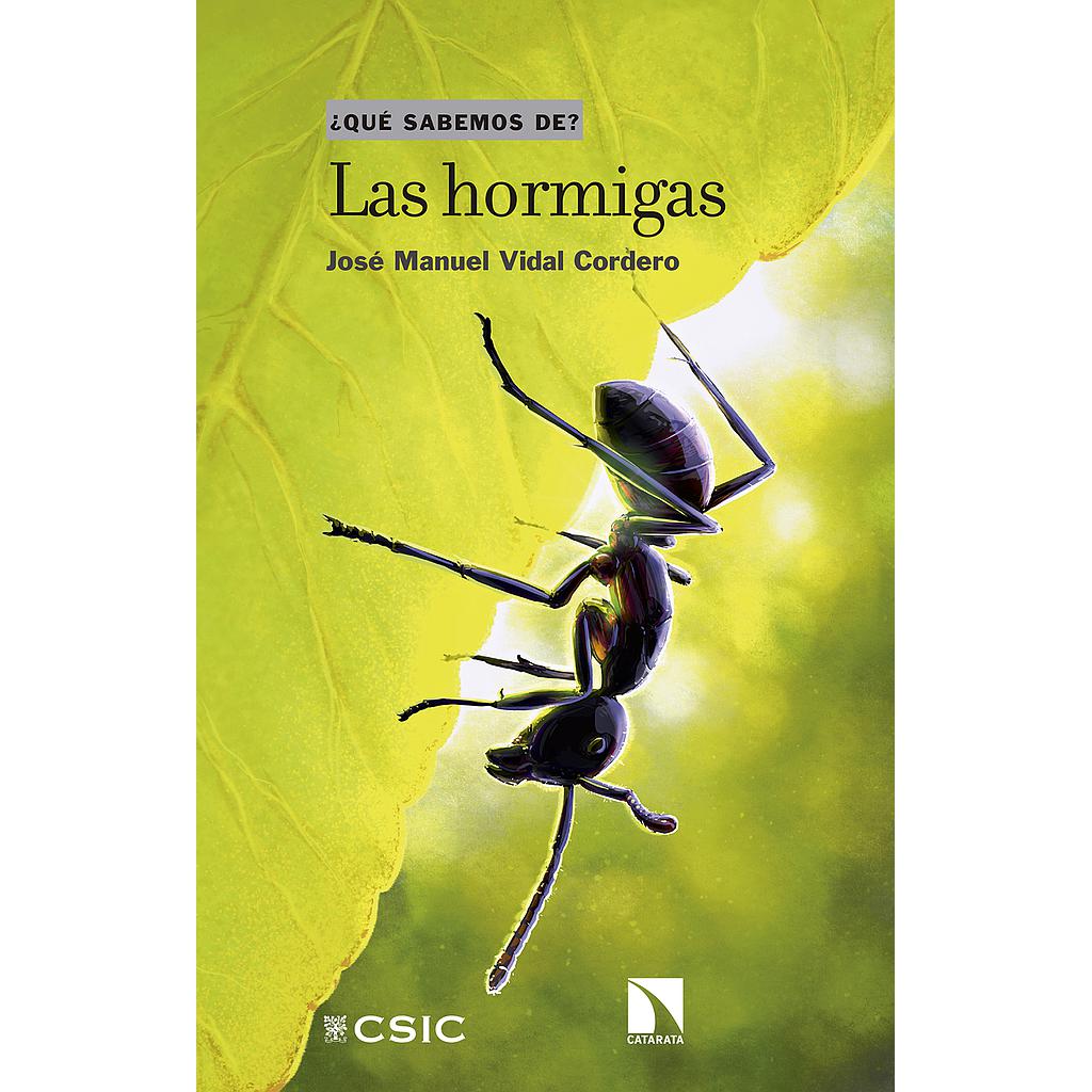 Las hormigas