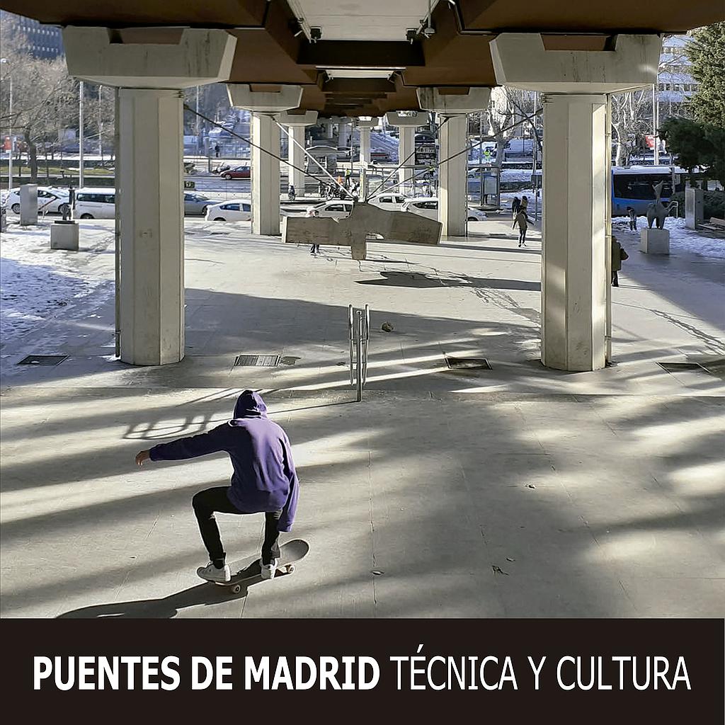 Puentes de Madrid : técnica y cultura