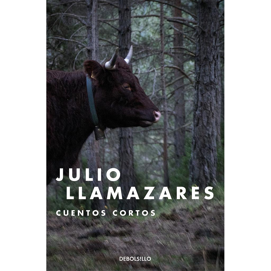 Cuentos cortos