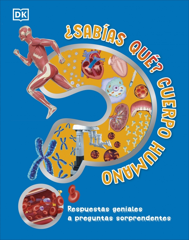 ¿Sabías qué? Cuerpo humano