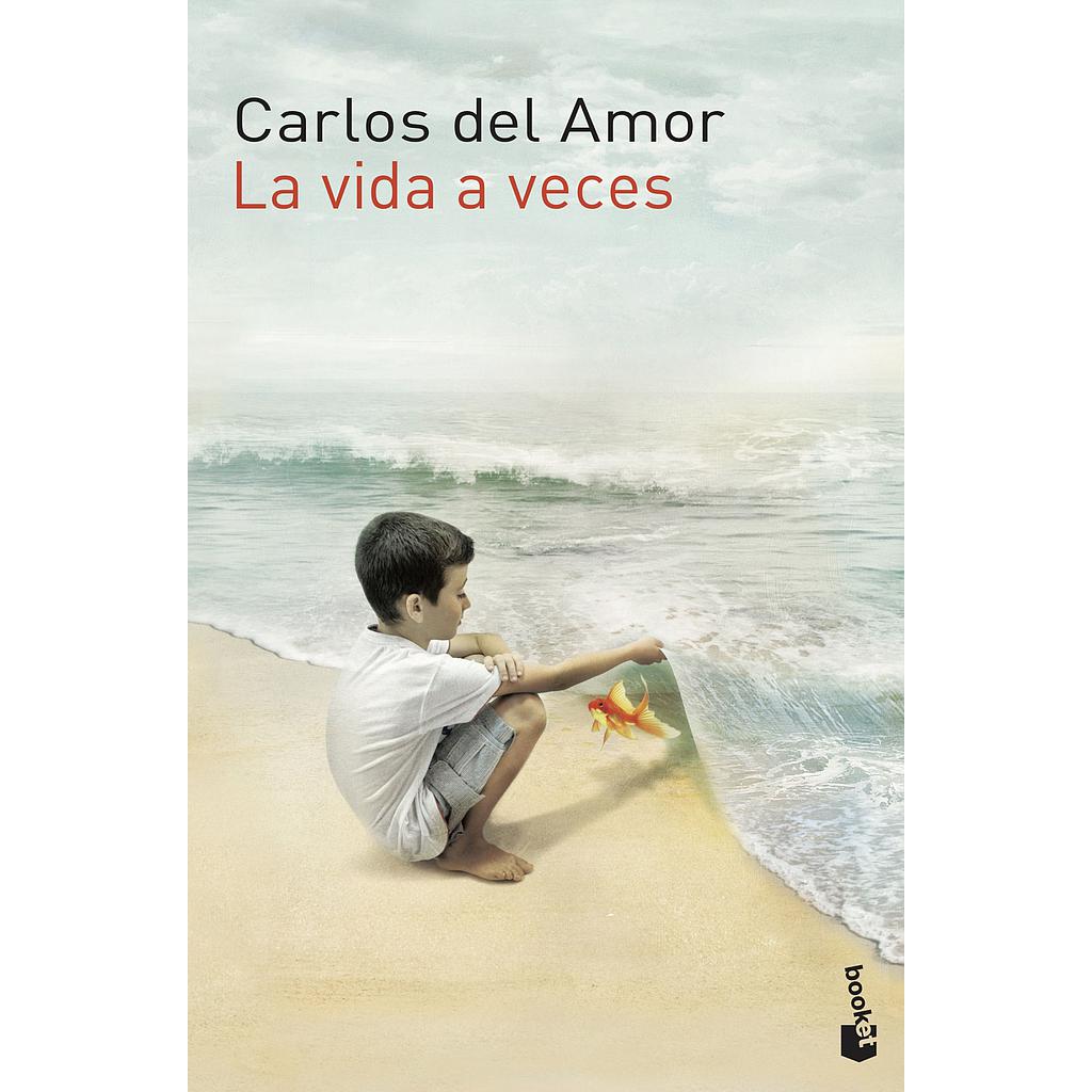 LA VIDA A VECES