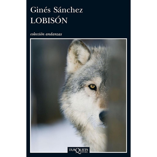 [9788483834114] Lobisón