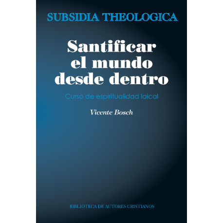 [9788422019565] Santificar el mundo desde dentro