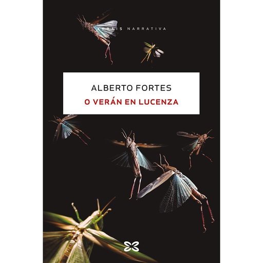 [9788491216339] O verán en Lucenza