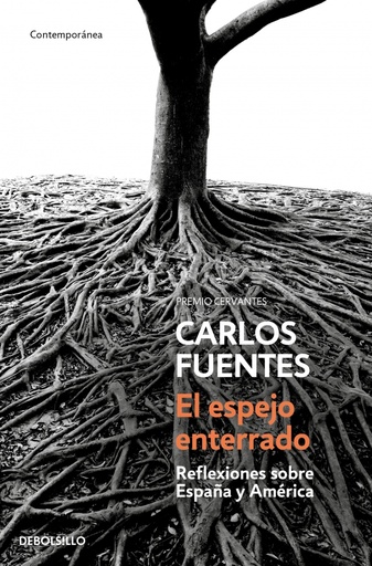 [9788466333535] El espejo enterrado
