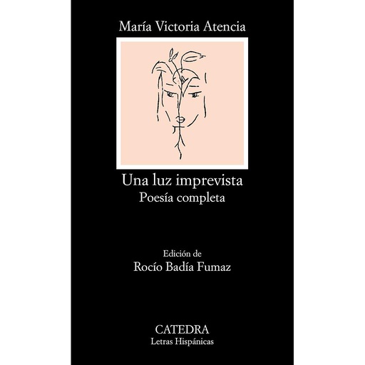[9788437643540] Una luz imprevista