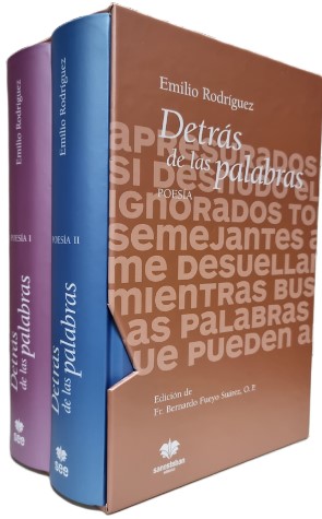 [9788482603827] Detrás de las palabras Vol. I-II