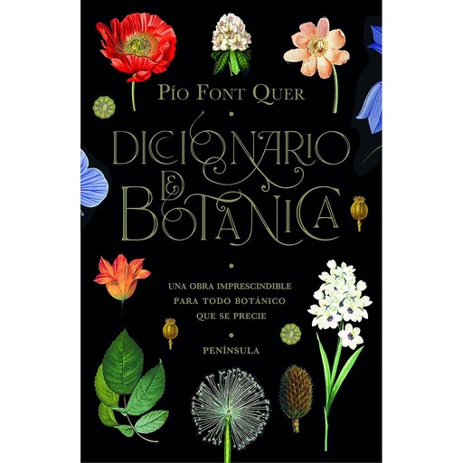 [9788499429076] Diccionario de botánica