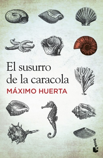 [9788427030251] El susurro de la caracola