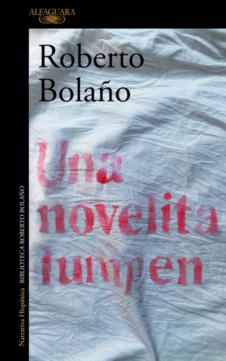 [9788420431567] Una novelita lumpen
