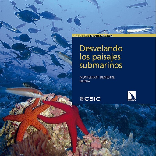 [13795] Desvelando los paisajes submarinos