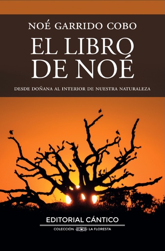 El libro de Noé