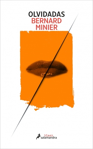 Olvidadas (Teniente Lucía Guerrero 2)