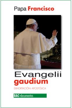 [9788422016946] Evangelii gaudium