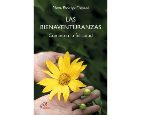 [9788417398538] Las bienaventuranzas