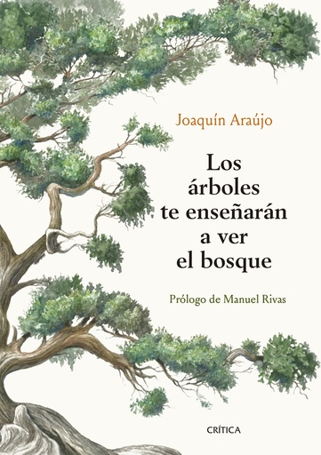 [9788491992080] Los árboles te enseñarán a ver el bosque