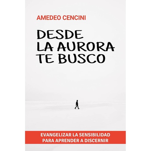 [9788429329285] Desde la aurora te busco