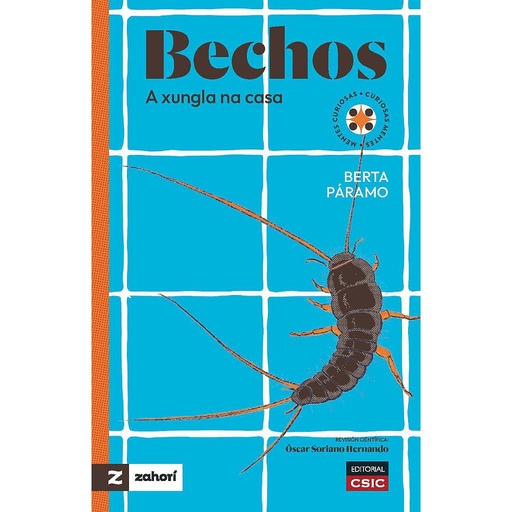 [14221] Bechos : a xungla na casa