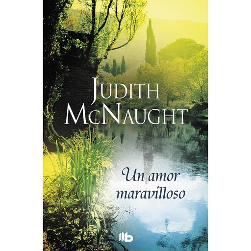 [9788490706565] Un amor maravilloso (Trilogía Siempre 2)