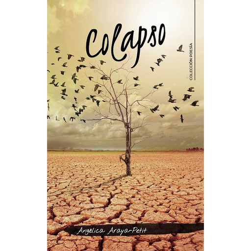 [9788418310461] Colapso