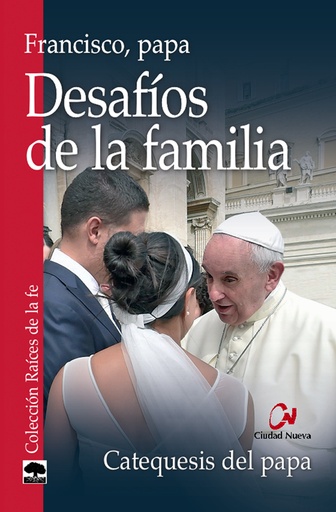 [9788497153300] Desafíos de la familia