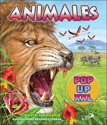 [9788428568791] ANIMALES POP UP XXL